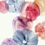 Picture of EXPANDING UNIVERSE I