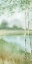 Picture of BIRCHWOOD ENCHANTMENT II