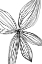 Picture of FLOWERINA 3