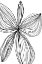 Picture of FLOWERINA 4