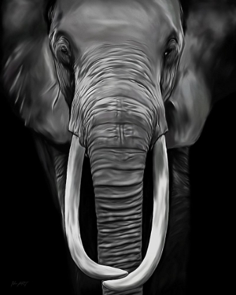 Picture of LOXODONTA