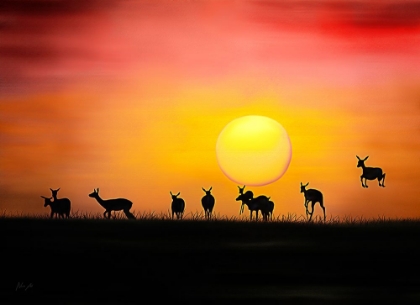 Picture of IMPALA CREPUSCULE