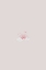 Picture of PINK RAINBOW