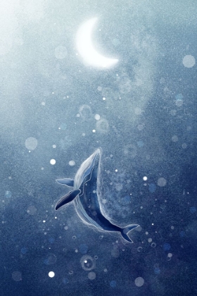 Picture of GALAXY WHALE