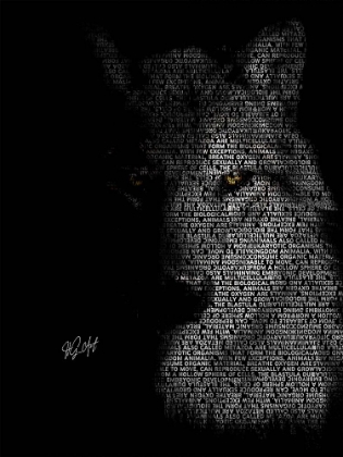 Picture of WOLF