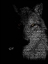 Picture of WOLF