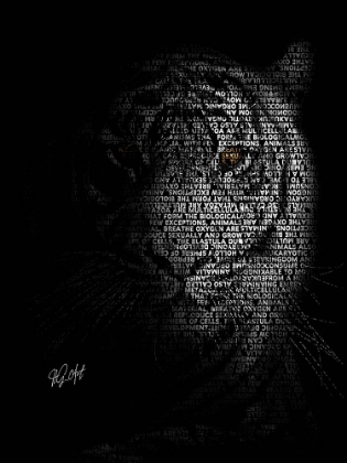 Picture of THE TIGER