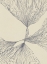Picture of INTERACTION #2