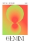 Picture of GEMINI