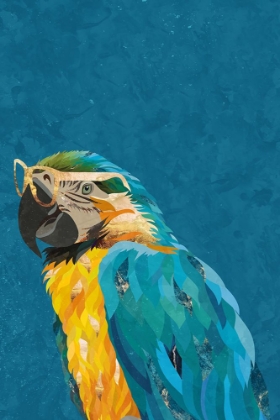 Picture of VIBRANT MACAW WEARING GLASSES