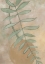 Picture of SANG VASE WITH BRANCH