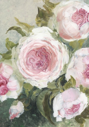 Picture of FREYIA PAINTERLY FLORALS
