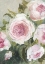 Picture of FREYIA PAINTERLY FLORALS