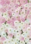 Picture of GABRY PAINTERLY RANUNCULUS
