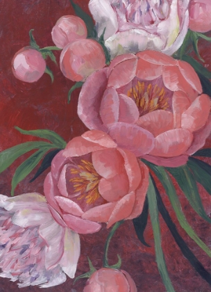 Picture of NEVAEH PEONIES
