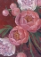 Picture of NEVAEH PEONIES