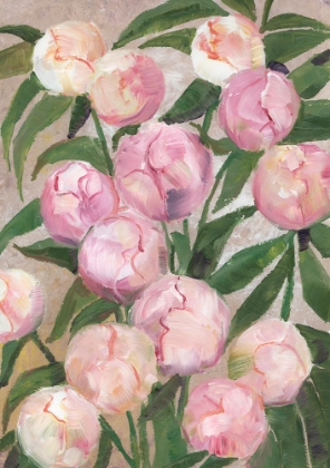 Picture of VALENTY PAINTERLY PEONIES