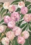 Picture of VALENTY PAINTERLY PEONIES