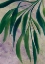 Picture of WHANI LEAVES