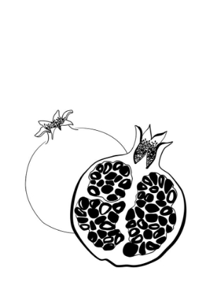 Picture of LINE ART POMEGRANATES