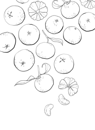 Picture of LINE ART TANGERINES