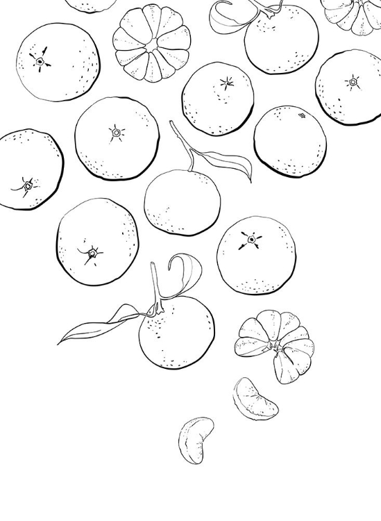 Picture of LINE ART TANGERINES