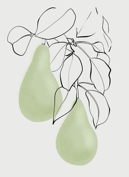 Picture of WEN PEARS