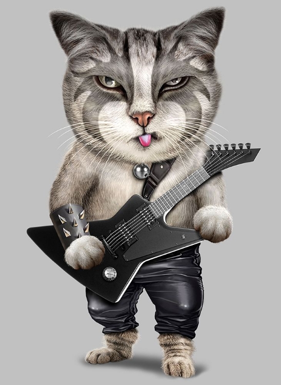 Picture of HEAVY METAL CAT