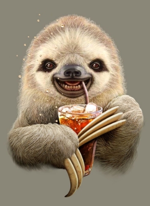 Picture of SLOTH AND SOFT DRINK