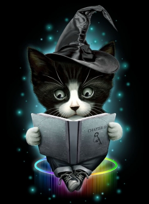 Picture of MAGICAL CAT