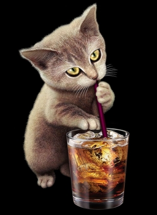 Picture of CAT AND SOFT DRINK