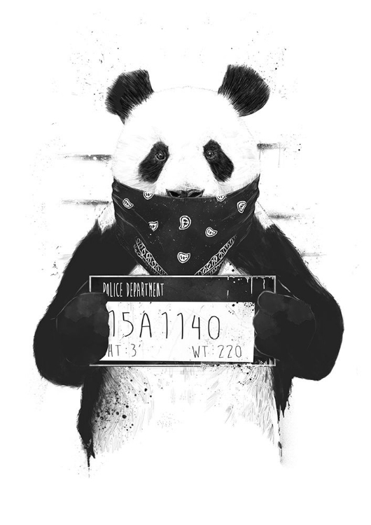 Picture of BAD PANDA