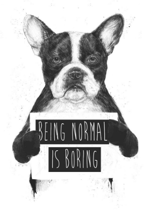 Picture of BEING NORMAL IS BORING