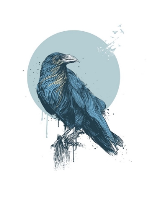 Picture of BLUE CROW