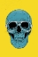 Picture of BLUE SKULL