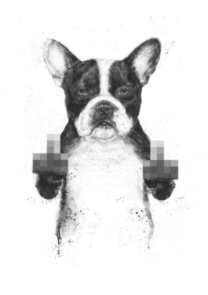 Picture of CENSORED DOG