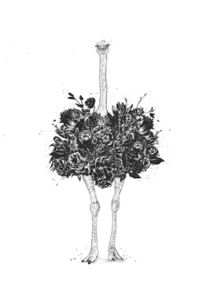 Picture of FLORAL OSTRICH