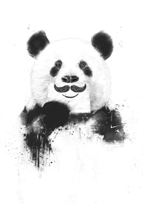 Picture of FUNNY PANDA