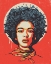 Picture of FLOWER POWER