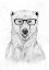Picture of GEEK BEAR