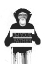 Picture of IM YOUR FATHER II