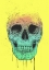 Picture of POP ART SKULL