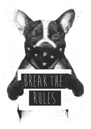 Picture of REBEL DOG