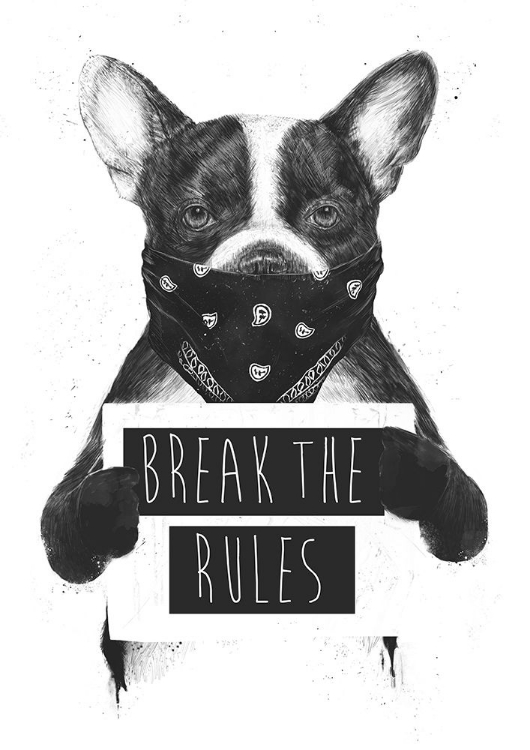 Picture of REBEL DOG