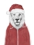 Picture of SANTA LION