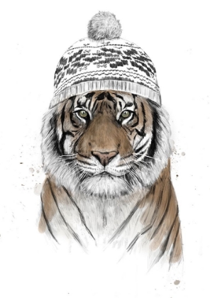 Picture of SIBERIAN TIGER