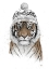 Picture of SIBERIAN TIGER