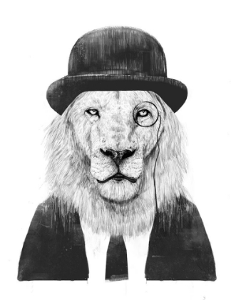 Picture of SIR LION