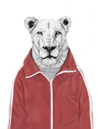 Picture of SPORTY LION