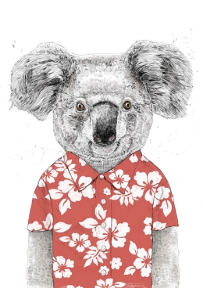 Picture of SUMMER KOALA (RED)